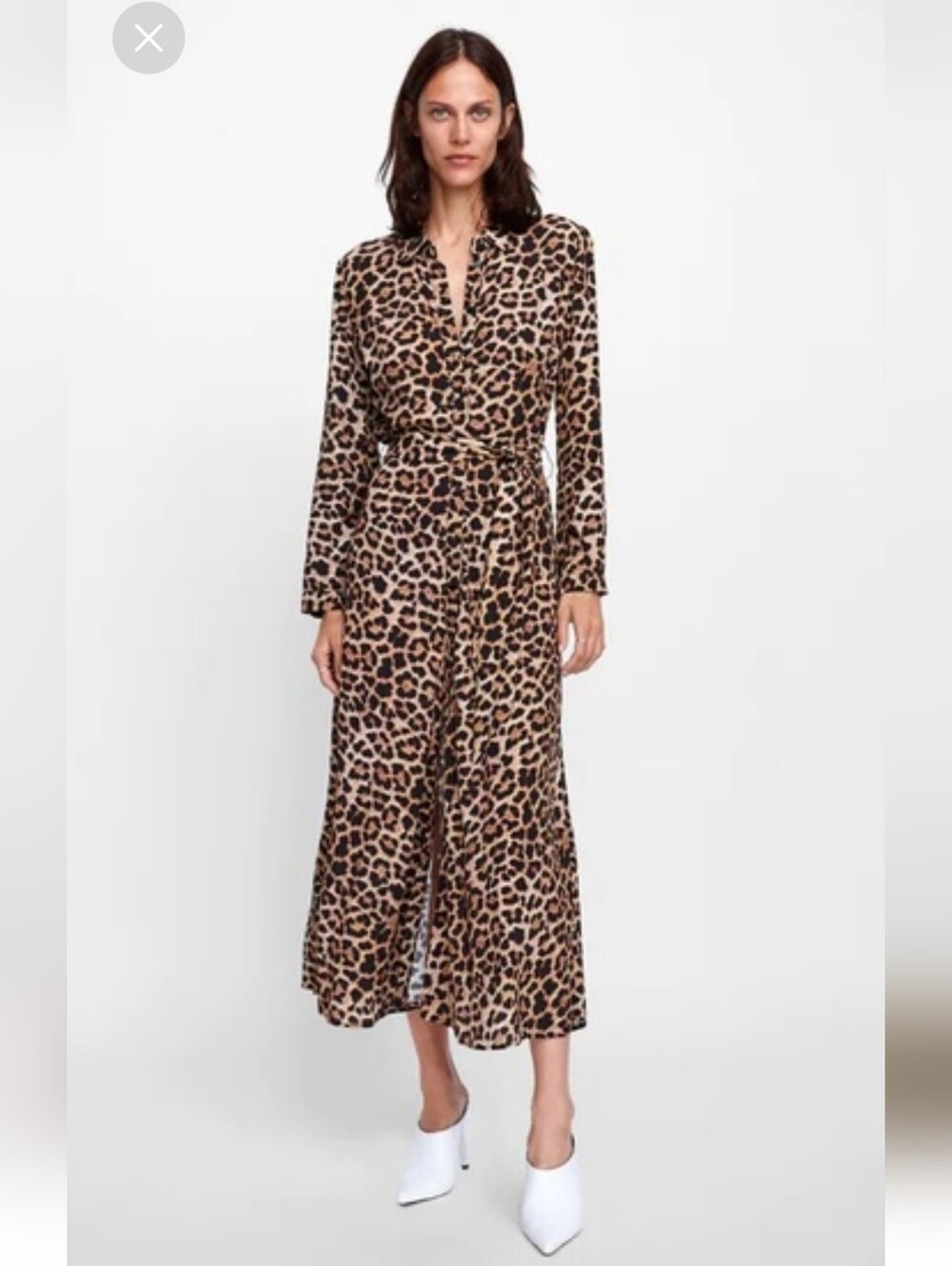 Zara Leopard Print Midi Dress - Brown & Tan